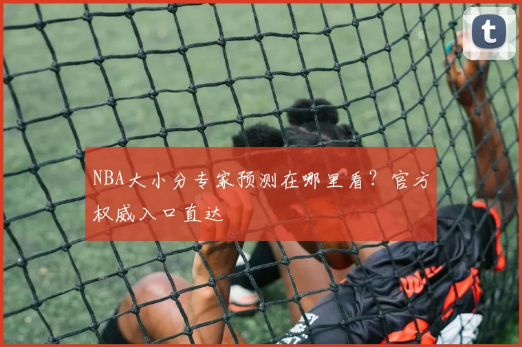 NBA大小分专家预测在哪里看？官方权威入口直达